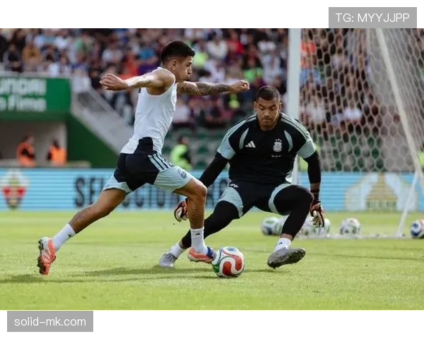 马丁内斯：国家队中坚力量，持续展现强大竞争力